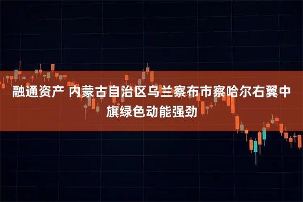 融通资产 内蒙古自治区乌兰察布市察哈尔右翼中旗绿色动能强劲