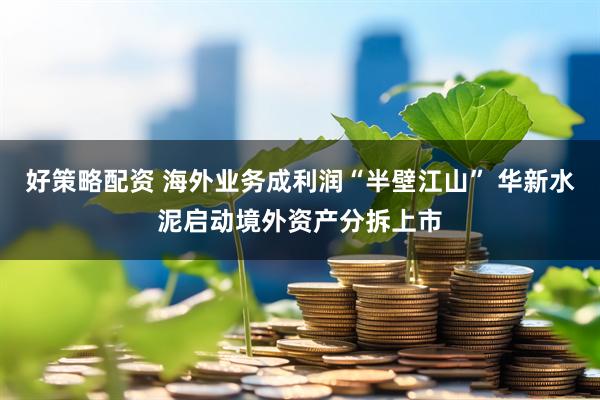 好策略配资 海外业务成利润“半壁江山” 华新水泥启动境外资产分拆上市