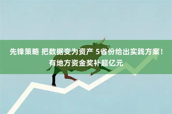 先锋策略 把数据变为资产 5省份给出实践方案！有地方资金奖补超亿元