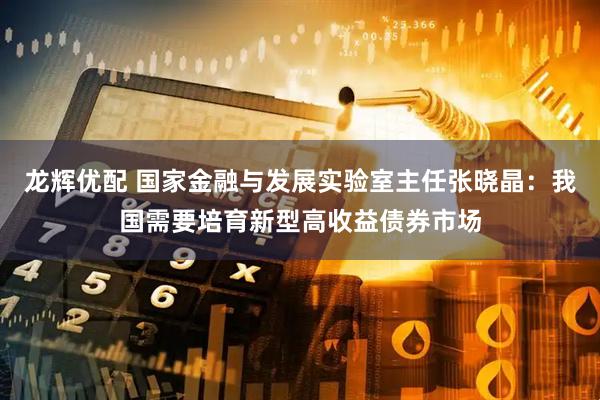 龙辉优配 国家金融与发展实验室主任张晓晶：我国需要培育新型高收益债券市场